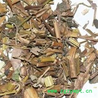 白屈菜 断肠草 白屈菜 土黄连 牛金花 八步紧 大茶药 大炮夜 野蔓统货 产地 辽宁省 凯捷中药图2