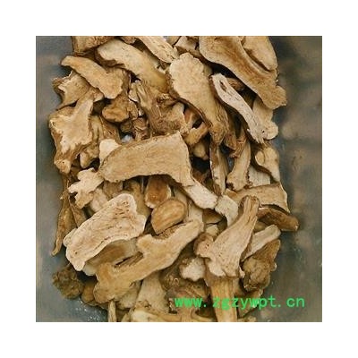 白术片 统装一年生 产地 安徽省亳州市谯城区