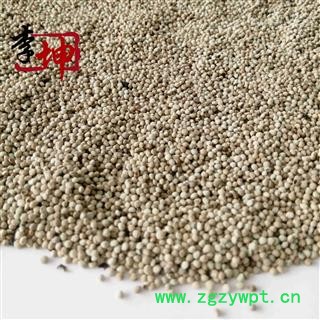 【99包邮】白苏子 统货 江苏白苏麻 统货图3