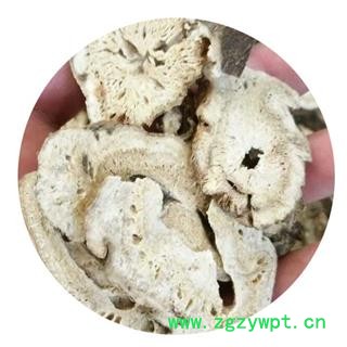 白术  统圆片 产地 安徽省亳州市市辖区 库存 1000000公斤可售图4