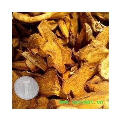 炒白术 河北白术大统片 颜色好 没有出油 产地 河北省