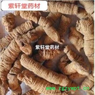 巴戟天 巴戟肉 一级手选段 个头大 产地 广东省图2