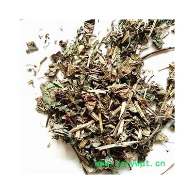 瑞森药材行筋骨草 白毛夏枯草 白毛过冬青 雪里青 见血青 紫背金盘 破血丹 散血丹 白喉草 青鱼胆草 透骨消 活血草 一盏灯