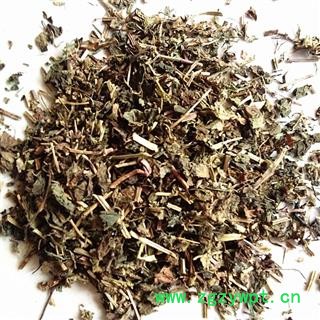 瑞森药材行筋骨草 白毛夏枯草 白毛过冬青 雪里青 见血青 紫背金盘 破血丹 散血丹 白喉草 青鱼胆草 透骨消 活血草 一盏灯图2