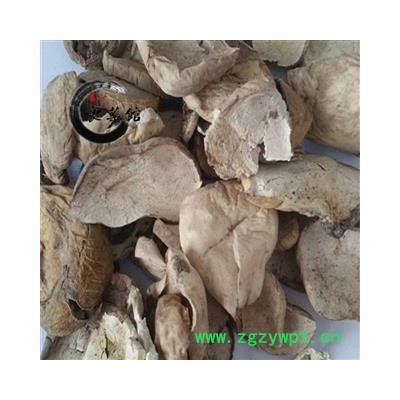 白马勃统片 产地四川  药典标准 地道良药馆1000克直销