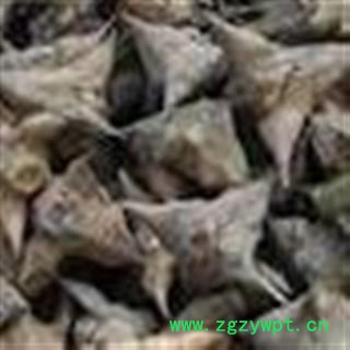 小丽百草行中药材菱角  四角菱 四角小棱角 小菱角 菱角 龙角图2