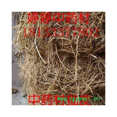 白茅根 统个 产地 河南省 商丘市 夏邑县