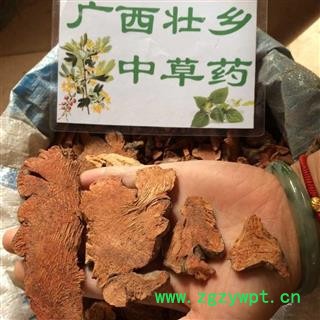 广西壮乡中草药 野生 金刚藤 金刚头 菝契 菝葜 产地 广西柳州图2