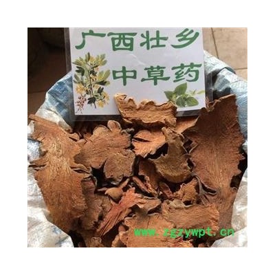 广西壮乡中草药 野生 金刚藤 金刚头 菝契 菝葜 产地 广西柳州