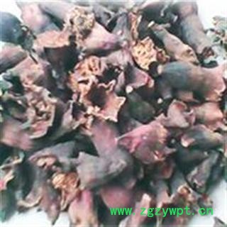 圣草康园 石榴花 榴花 酸石榴花图2