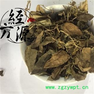 抱石莲B 瓜子金 瓜子菜 石瓜子 鱼鳖金星  统 产地 广西壮族自治区图2