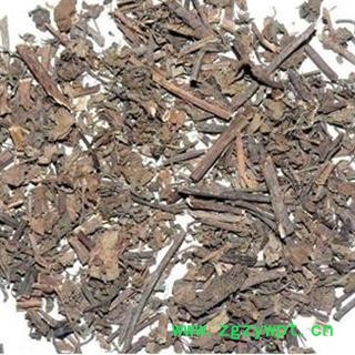 白屈菜 01 白屈菜 统 产地 江苏省南京市市辖区图2