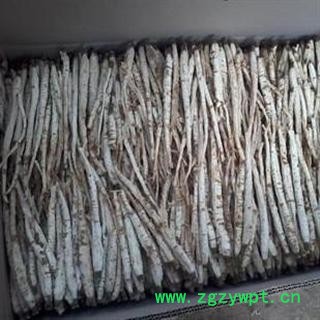 北沙参 选条 产地 河北省保定市安国市图3