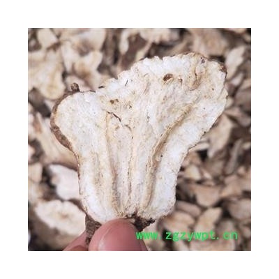 白术片1000克促销批发 两年生白术 产地 河北省邢台市