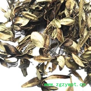 新货抱石莲 镜面草 石瓜子 地连钱 金龟藤  风不动  鱼鳖草 金丝鱼鳖 山豆爿草 抱树莲重在品质吉康药业图2