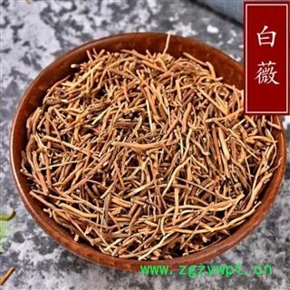 白薇 白薇净根切段 产地 辽宁省图2