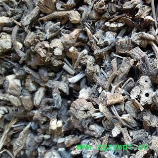 小丽百草行白头翁 辽宁货 奈何草 粉乳草 白头草 老姑草 菊菊苗 老翁花 老冠花 猫爪子花图3