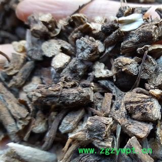 小丽百草行白头翁 辽宁货 奈何草 粉乳草 白头草 老姑草 菊菊苗 老翁花 老冠花 猫爪子花图2