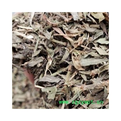 安祁名药优质萹蓄  正品新货