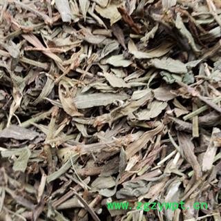 安祁名药优质萹蓄  正品新货图2