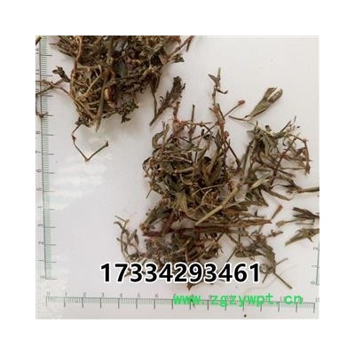 萹蓄 扁竹 扁茿 畜辩 扁蔓 扁蓄 地扁蓄 编竹 扁畜 粉节草 道生草 扁竹 扁竹蓼 乌蓼 大蓄片 路柳 疳积药 斑鸠台 蚂蚁草 猪圈草 桌面草 路边草 七星草 铁片草 竹节