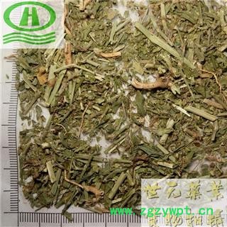 世元药业 萹蓄 正品 扁竹 扁茿 畜辩 扁蔓 扁蓄 地扁蓄 编竹 扁畜 粉节草 道生草 扁竹 扁竹蓼 乌蓼 大蓄片 野铁扫把 路柳 疳积药 斑鸠台 蚂蚁草 猪圈草 桌面草 路边草 七星草 铁片草 竹节图2