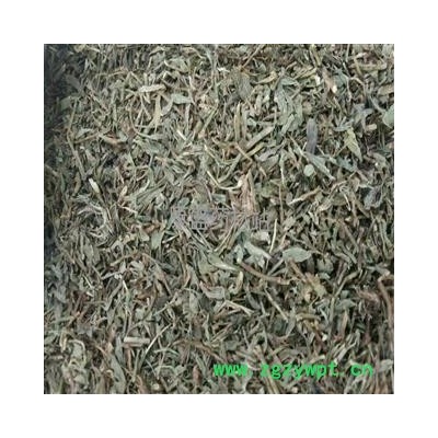 萹蓄 统 产地 安徽省亳州市亳州药市