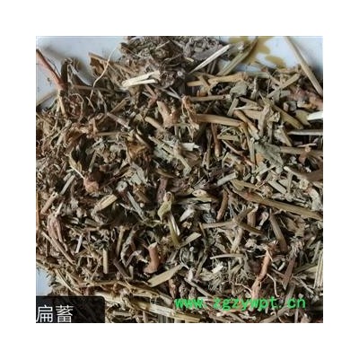 萹蓄 扁竹 扁茿 畜辩 扁蔓 扁蓄 地扁蓄 编竹 扁畜 粉节草 道生草 扁竹 扁竹蓼 乌蓼 大蓄片 野铁扫把 路柳 疳积药 斑鸠台 蚂蚁草 猪圈草 桌面草 路边草 七星草 铁片草 竹节