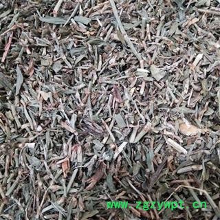 萹蓄 萹蓄选段 产地 山东省图2