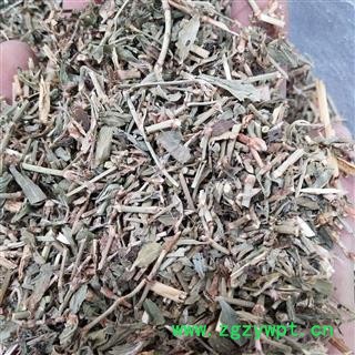 萹蓄 萹蓄选段 产地 山东省图3