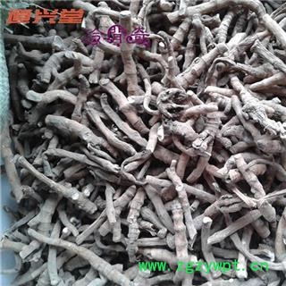 百节 百节藕 产地 江西省 批发各种冷背中草药个子图2