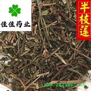 半枝莲 好统货新货 颜色好 产地 河南省 味道好新货图3