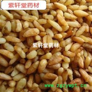 柏子仁 柏子仁选货 产地 山东省图4