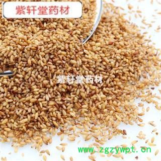 柏子仁 柏子仁选货 产地 山东省图2