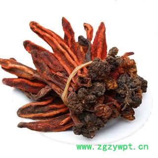 回春草 顶天柱 草丛蓉不老草云南泡水煲汤泡酒料图3