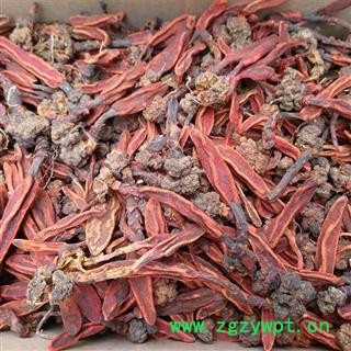 芝春堂 野生 好统货 草苁蓉 顶天柱 不老草 回春草 壮阳草 不老根图3