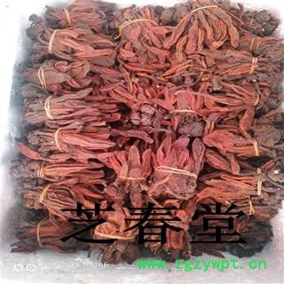 芝春堂 野生 好统货 草苁蓉 顶天柱 不老草 回春草 壮阳草 不老根图4