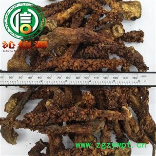 【满包邮】草苁蓉统货散装吉林产地直供不老草 顶天柱沁信源中药批发图2