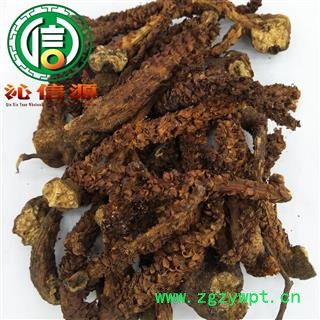 【满包邮】草苁蓉统货散装吉林产地直供不老草 顶天柱沁信源中药批发图4