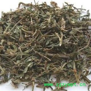 萹蓄 统 产地 山东省 产地直销 重在质量图3