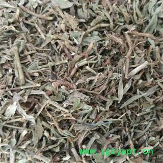 萹蓄 统 产地 山东省 产地直销 重在质量图2