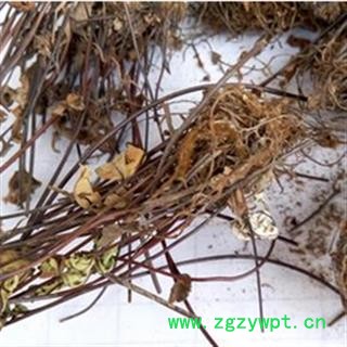 京辉药业 通经草 挖耳草 半枝莲 正品 销售各种中药材 冷背图2