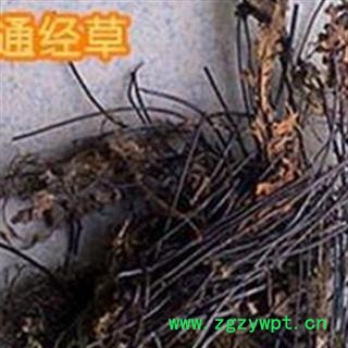 京辉药业 通经草 挖耳草 半枝莲 正品 销售各种中药材 冷背