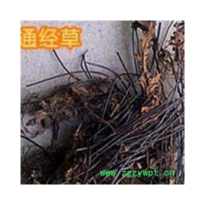 京辉药业 通经草 挖耳草 半枝莲 正品 销售各种中药材 冷背