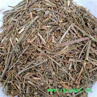 半枝莲 半枝莲统段 产地 河南省图2