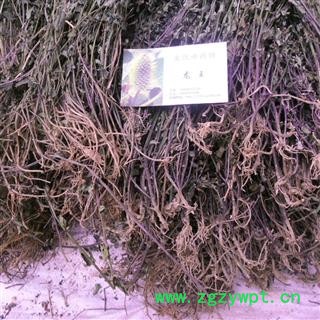 半枝莲 精品 产地 四川省成都市双流县图3