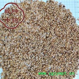 柏子仁 河北柏子仁  统货 产地 河北省【品种齐全 诚信经营】图2