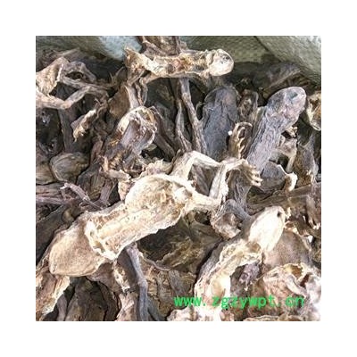 蟾蜍 蟾蜍个 产地 辽宁省