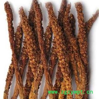 京辉药业 草苁蓉 不老草 正品 批发 零售图2