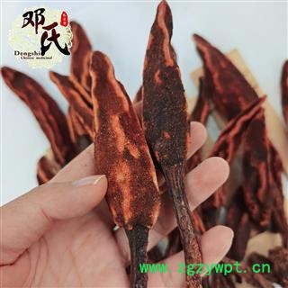 草苁蓉 云南顶天柱 不老草回春草大条 产地 云南省产地直发图3